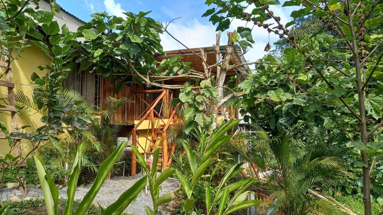 Cacao Lodge And Tours La Fortuna Extérieur photo